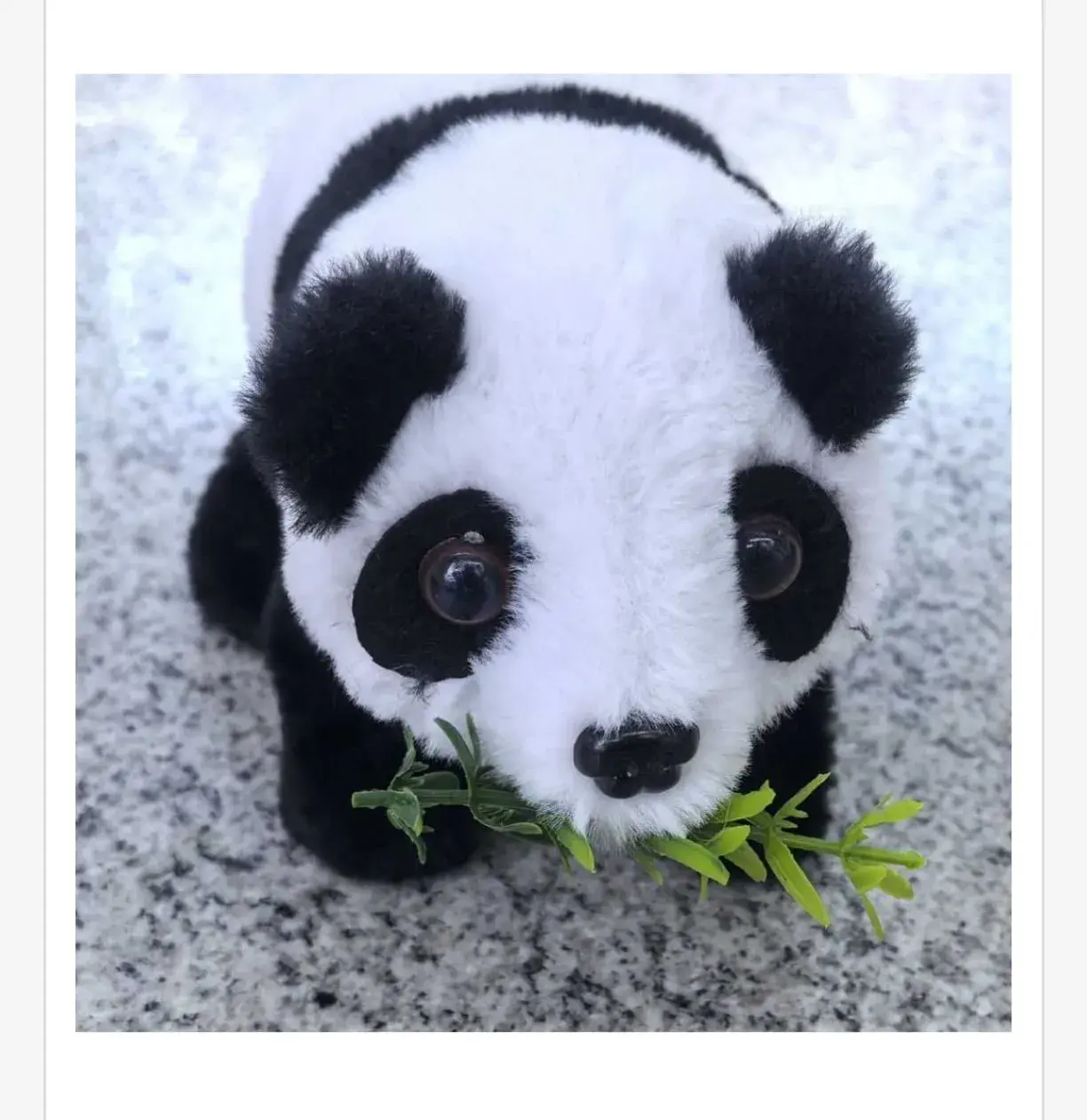 Zabawka Elektryczna Pluszak Panda z Gałązką Bambusa na Baterie