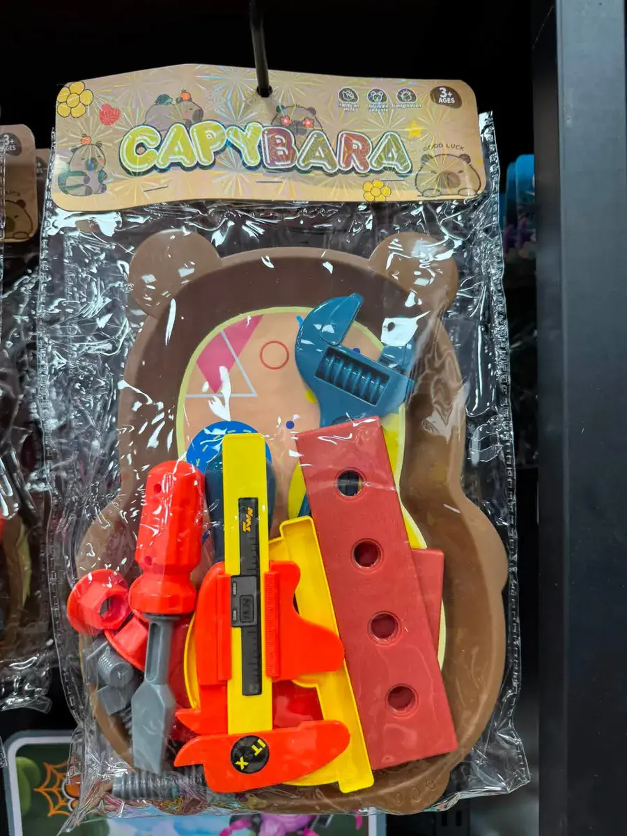 Zestaw narzędzi dziecięcych Capybara kolorowy plastik