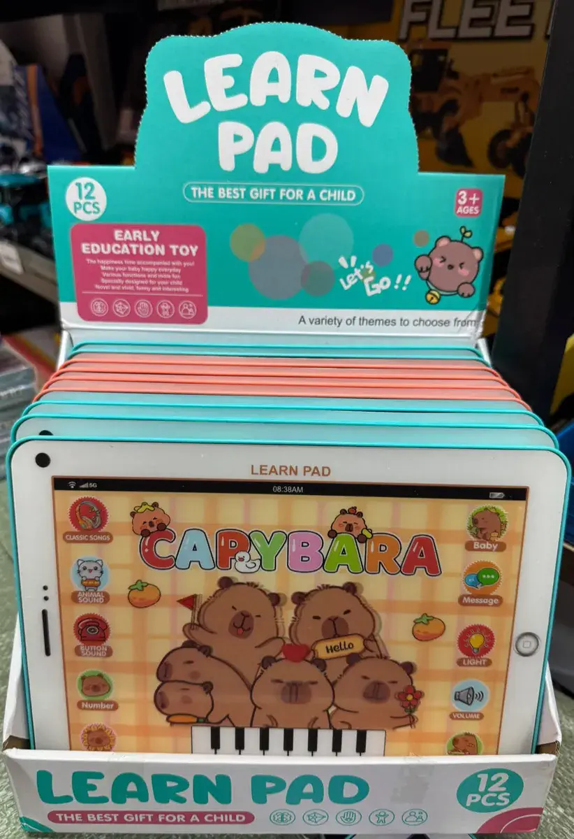 Learn Pad Edukacyjna Zabawka Interaktywna dla Dzieci 3+