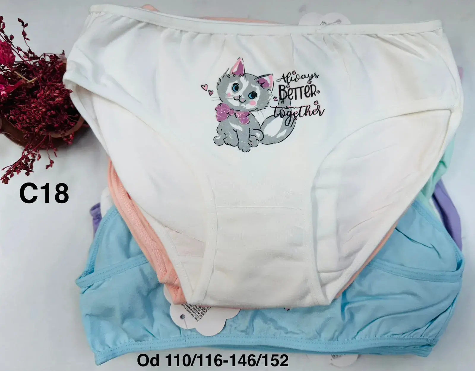 Majtki dziecięce bawełniane 110/116-146/152 nadruk kotek 24szt