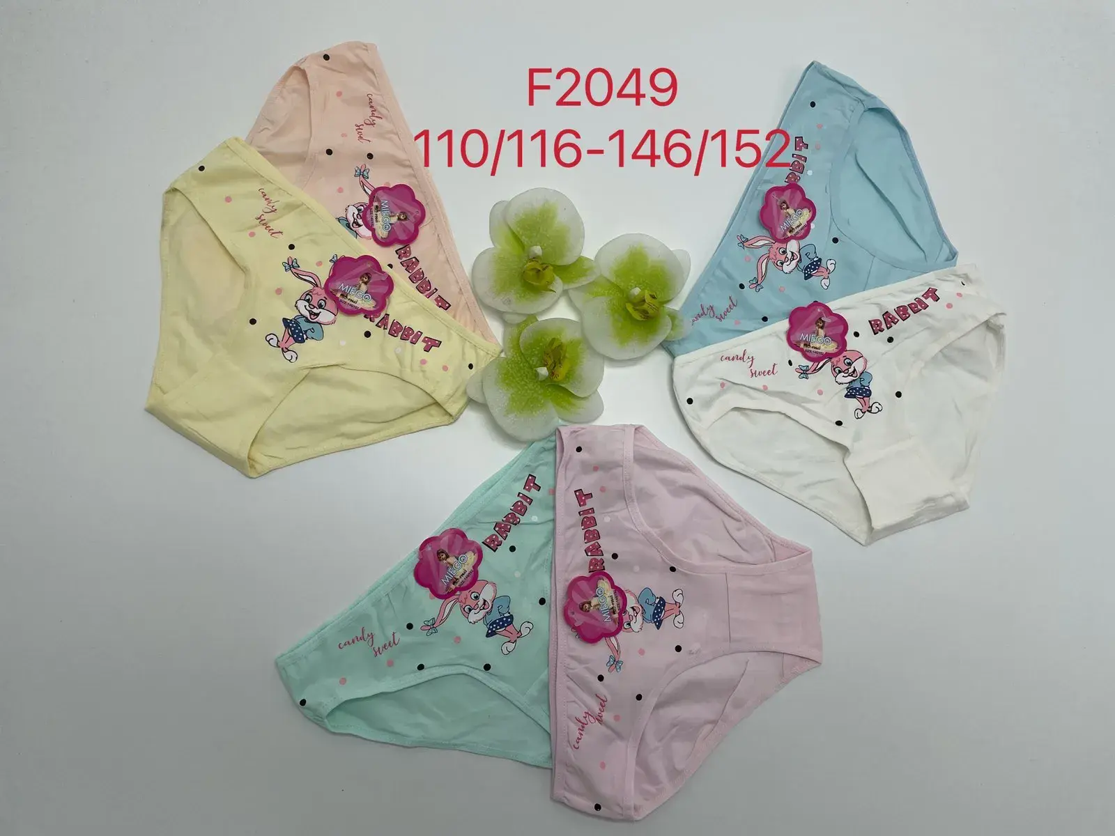 Majtki dla dzieci F2049 rozmiary 110/116-146/152, 5 kolorów
