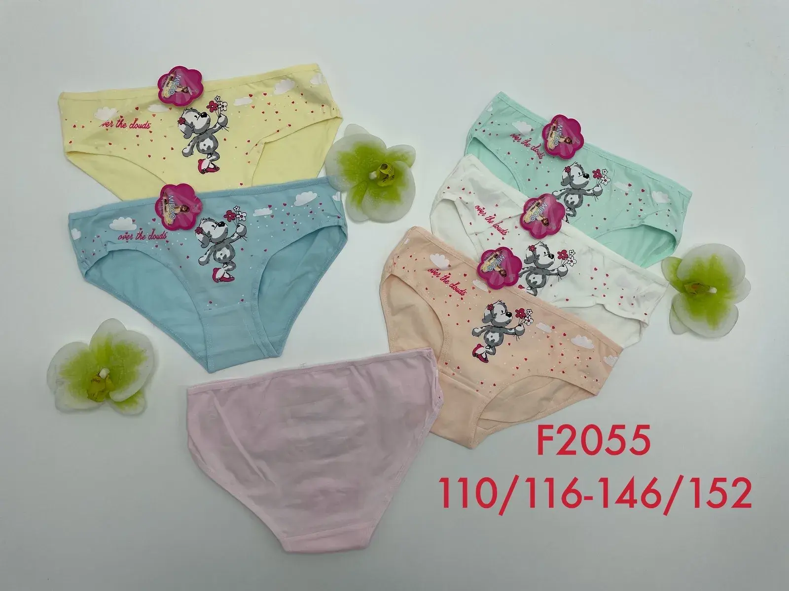 Majtki dla dzieci F2055 rozmiary 110/116-146/152