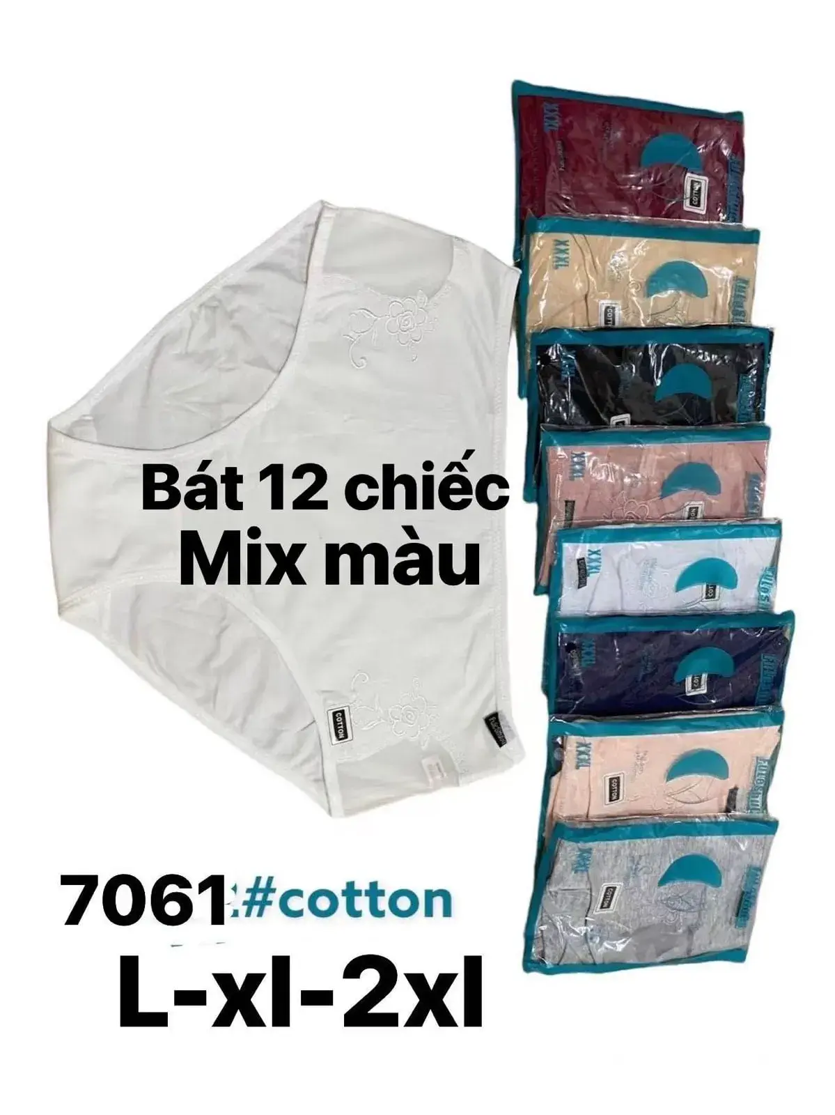 Majtki damskie bawełniane mix kolorów L-XL-2XL B12