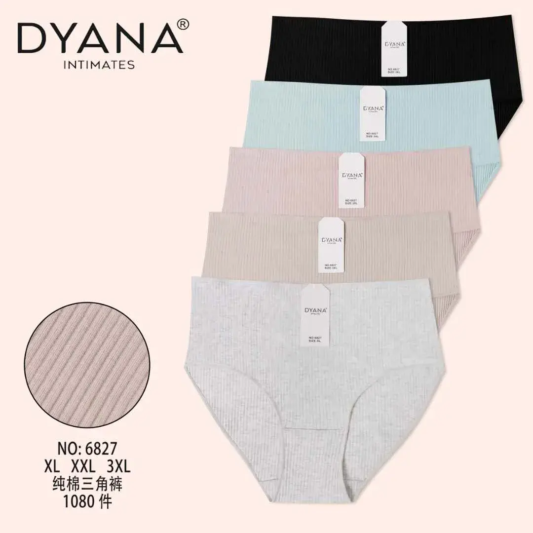 Majtki damskie DYANANANA XL-3XL 5 szt. rozmiar 6827