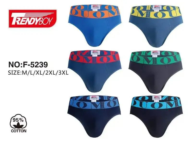TrendyBoy Męskie Slipy Bawełniane F-5239 Mix Kolorów