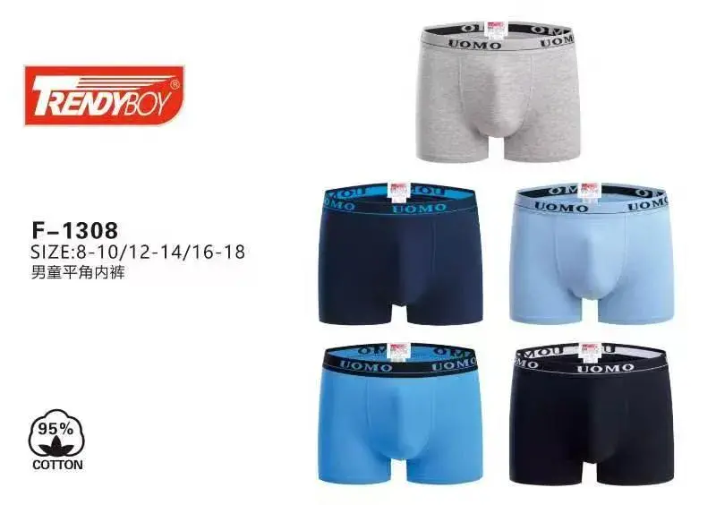 Bokserki męskie TrendyBoy bawełniane mix kolorów F-1308
