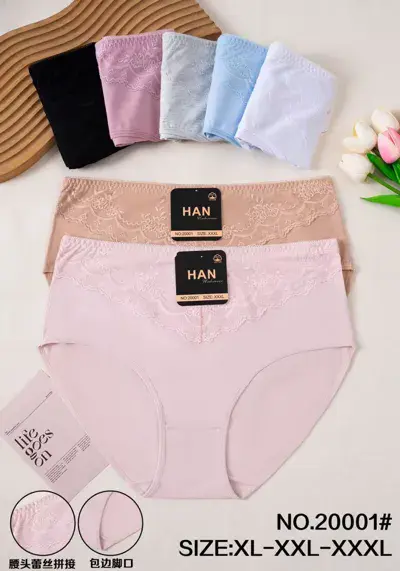 Majtki damskie HAN z koronką w rozmiarach XL-XXXL, pastelowe kolory